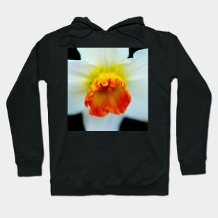 Macro photo of a poet’s daffodil Hoodie